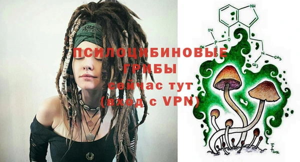 амф Алексеевка