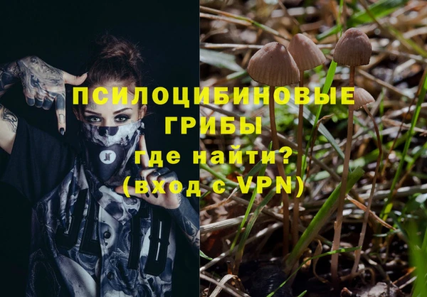 МДПВ Пестово